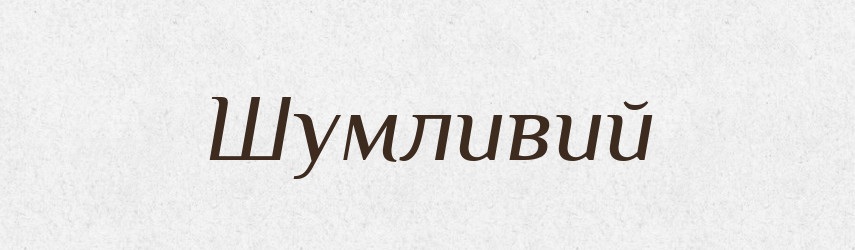 Шумливий — Словник чужомовних слів і термінів