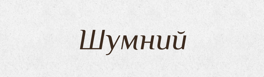 Шумний — Словник чужомовних слів і термінів