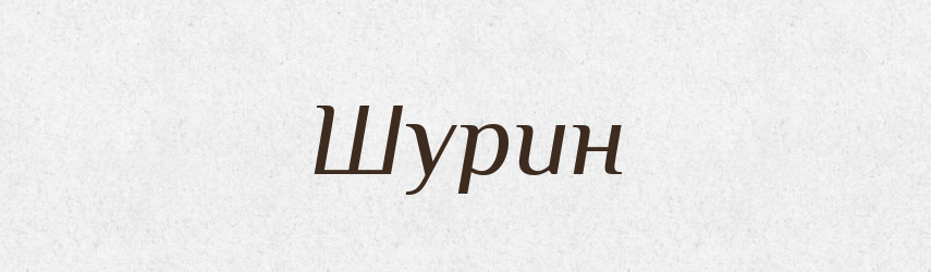 Шурин — Словник чужомовних слів і термінів