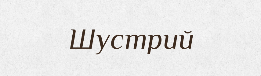 Шустрий — Словник чужомовних слів і термінів