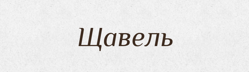 Щавель — Словник чужомовних слів і термінів