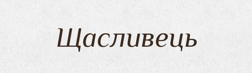 Щасливець — Словник чужомовних слів і термінів
