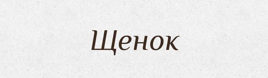 Щенок — Словник чужомовних слів і термінів