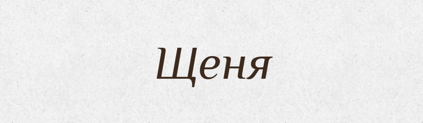 Щеня — Словник чужомовних слів і термінів