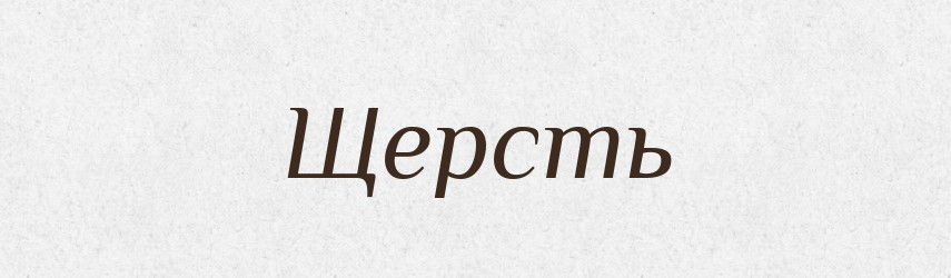 Щерсть — Словник чужомовних слів і термінів