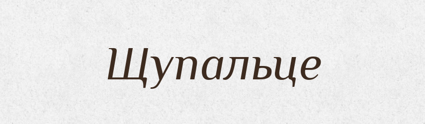 Щупальце — Словник чужомовних слів і термінів