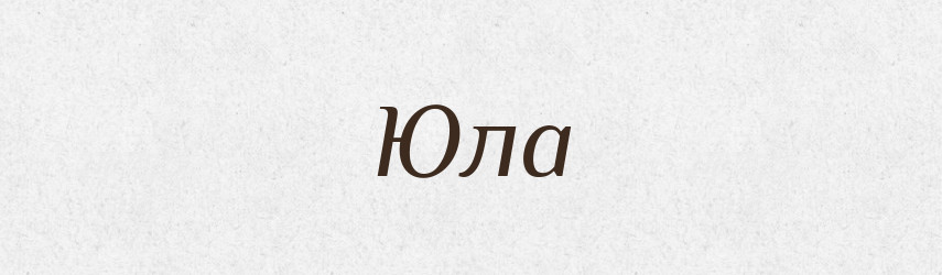 Юла — Словник чужомовних слів і термінів