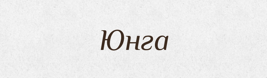 Юнга — Словник чужомовних слів і термінів
